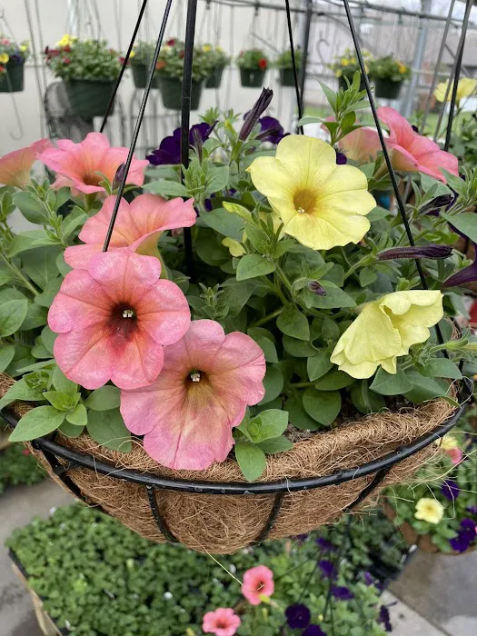 The Grainery Greenhouse Picture 6