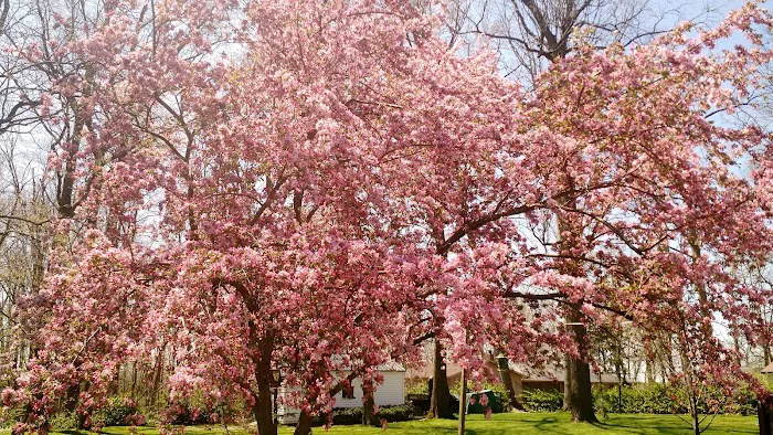 Walklee Lawn Care Services Picture 1