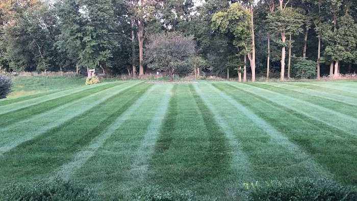 Tim's Lawn Service,LLC Picture 7