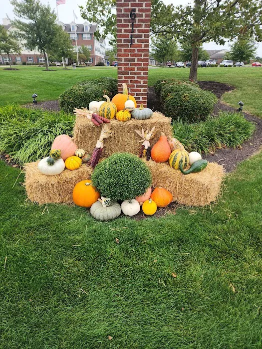 LandArt, Inc. Picture 6