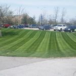 Lawnscape Lawn Maintenance
