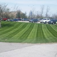 Lawnscape Lawn Maintenance ico