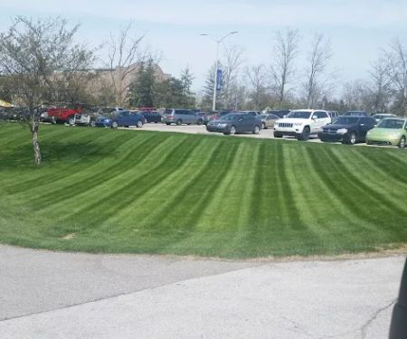Lawnscape Lawn Maintenance