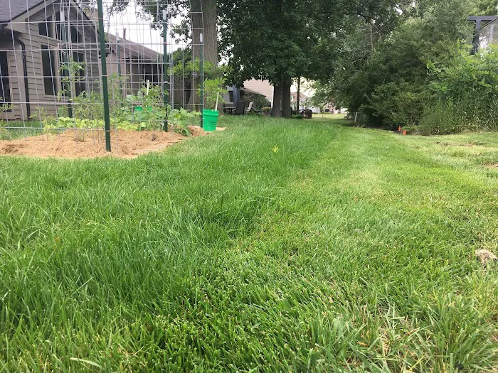 Lawnscape Lawn Maintenance Picture 6