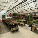 Laurie's Naturescapes