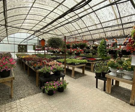 Laurie's Naturescapes