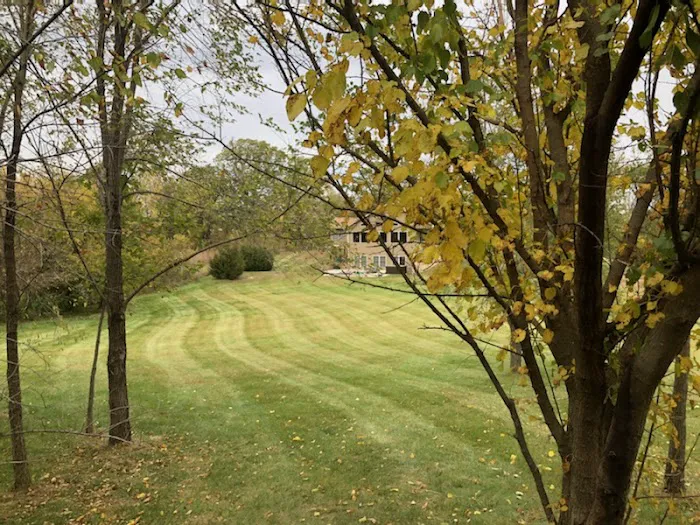 StripeDesign...Pro Look Lawns Picture 1