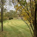 StripeDesign...Pro Look Lawns
