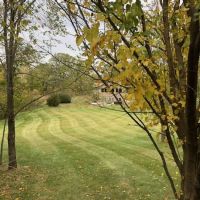 StripeDesign...Pro Look Lawns ico