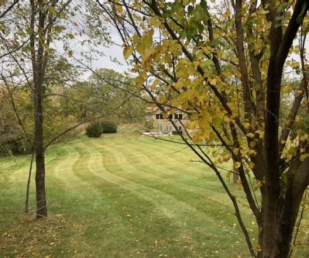 StripeDesign...Pro Look Lawns