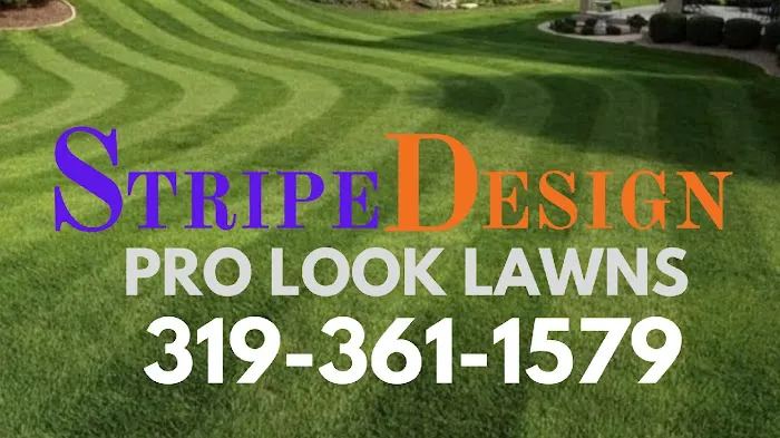 StripeDesign...Pro Look Lawns Picture 4