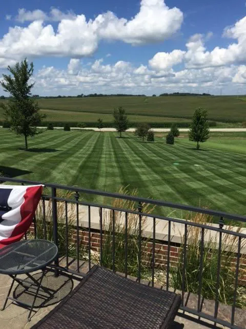 StripeDesign...Pro Look Lawns Picture 3