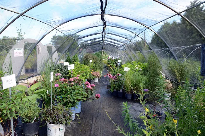 Wagner Nursery Inc Picture 8