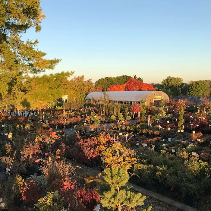 Wagner Nursery Inc Picture 6