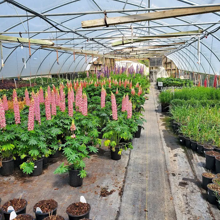 Wagner Nursery Inc Picture 7