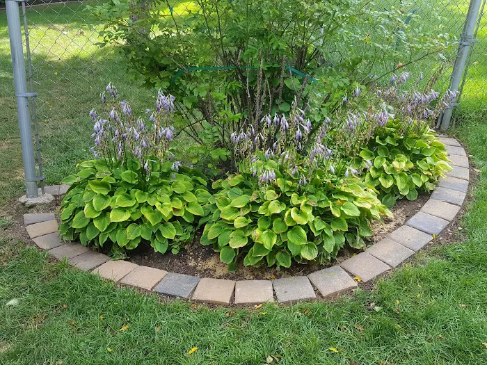 Green Crest Landscaping Picture 4