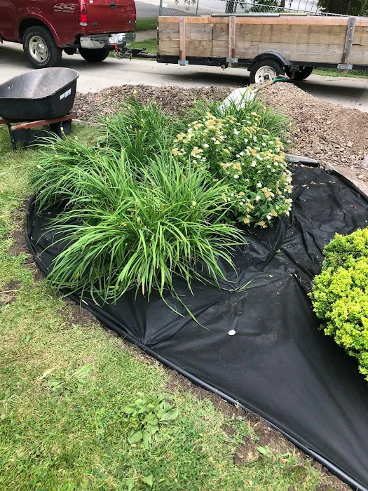 Bautista Landscaping Picture 2