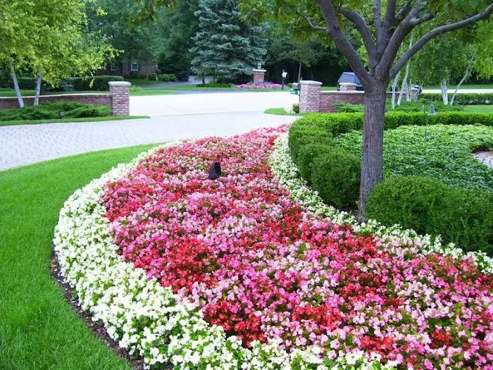 David J. Frank Landscape Contracting Picture 5