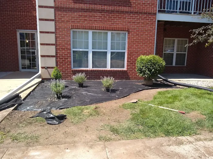 David J. Frank Landscape Contracting Picture 8