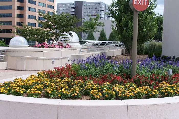 David J. Frank Landscape Contracting Picture 9