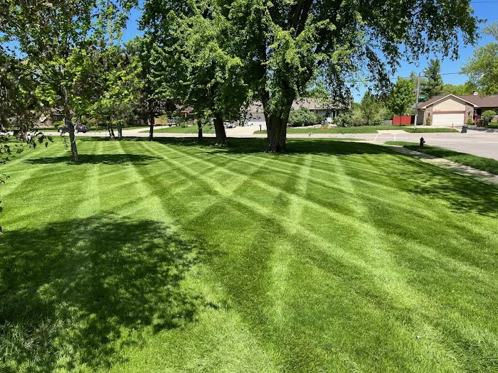 Carrington Lawn & Landscape Picture 10