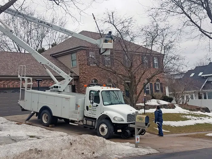 Alonso Landscape Service LLC Picture 9