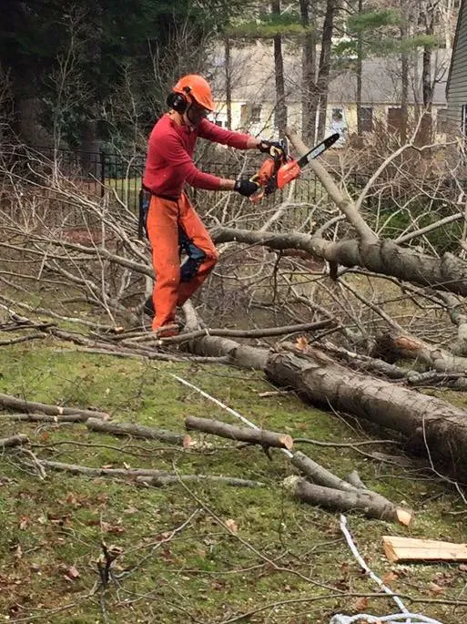 Scott Harrington Landscape and Tree Service, LLC Picture 2