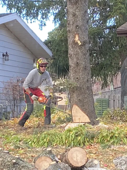Scott Harrington Landscape and Tree Service, LLC Picture 1