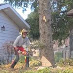 Scott Harrington Landscape and Tree Service, LLC