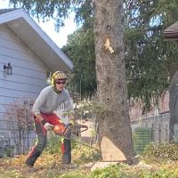 Scott Harrington Landscape and Tree Service, LLC ico