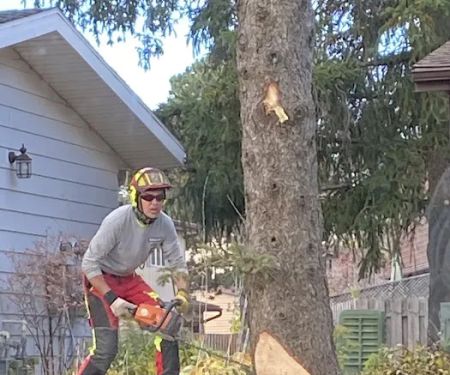 Scott Harrington Landscape and Tree Service, LLC