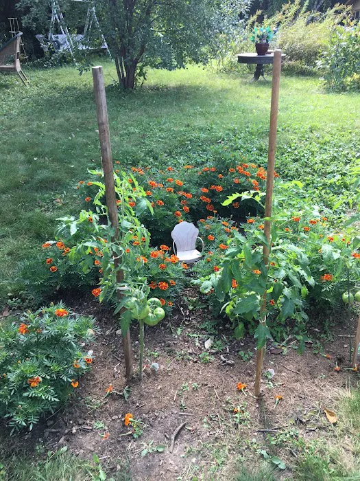 Gorilla Garden Design & Fruit, Inc. Picture 1