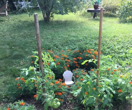 Gorilla Garden Design & Fruit, Inc.