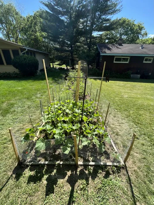 Gorilla Garden Design & Fruit, Inc. Picture 9
