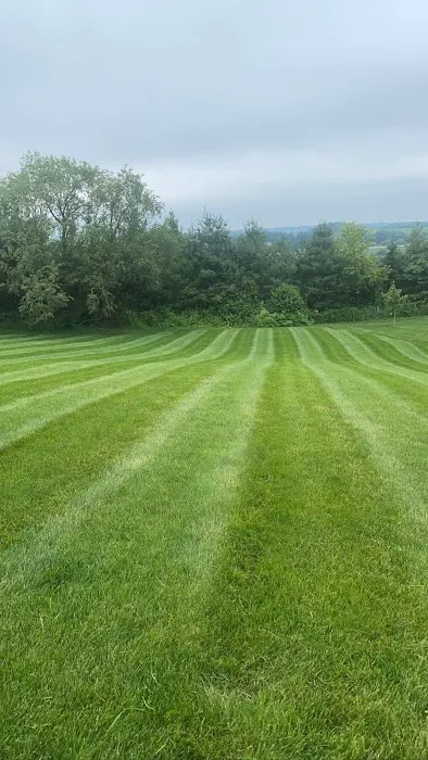R&A's Landscaping LLC Picture 1