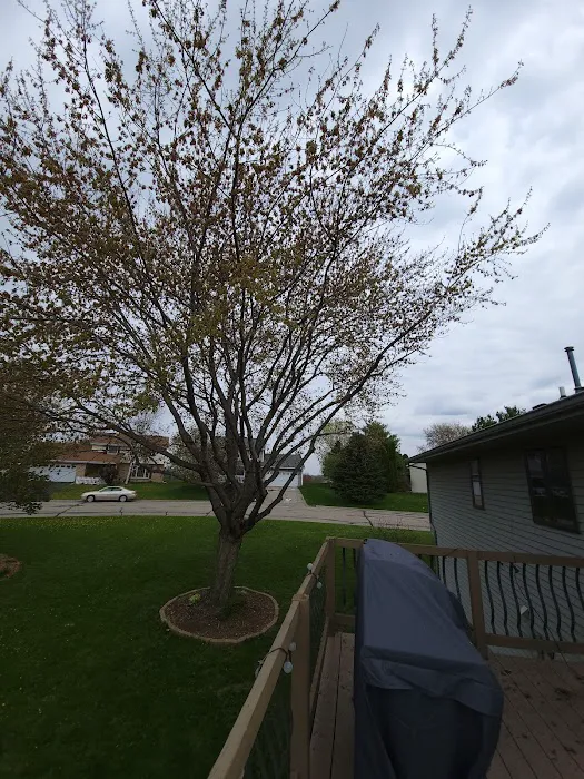 Tim Andrews Horticulturist LLC Picture 10