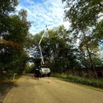 Tim Andrews Horticulturist LLC