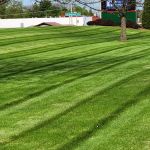 Crist Lawn Care LLC