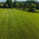 Williams Landscaping & Outdoor Maintenance