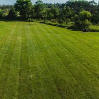 Williams Landscaping & Outdoor Maintenance ico