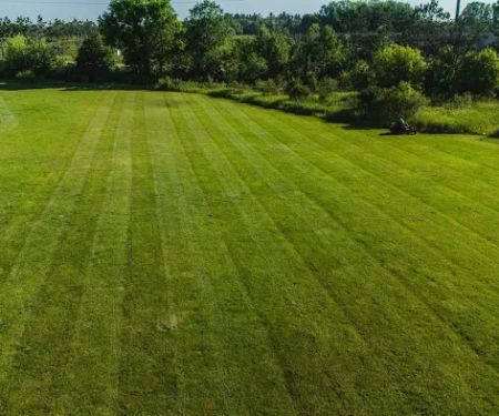 Williams Landscaping & Outdoor Maintenance