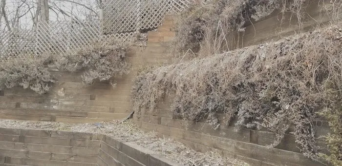 LS Yard and Garden Service LLC Picture 5