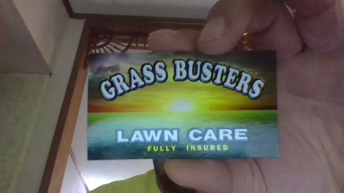 GrassBuster Picture 1