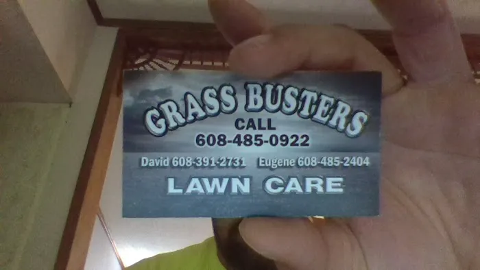 GrassBuster Picture 2