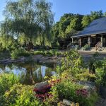 Second Nature at Reads Creek