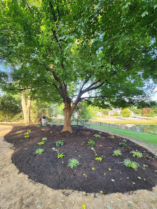 Elite Outdoor Services LLC Picture 5
