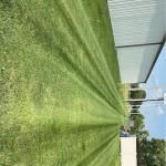 Felgar’s Lawn care/ landscape