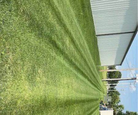 Felgaru2019s Lawn care/ landscape