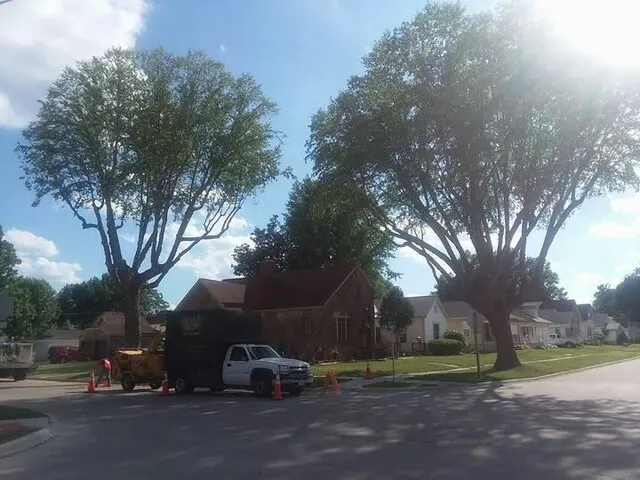 Hoenig Tree Service Picture 1