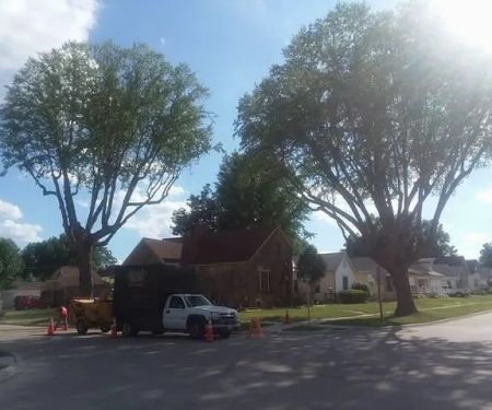 Hoenig Tree Service